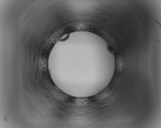 X0000103400571200809261622