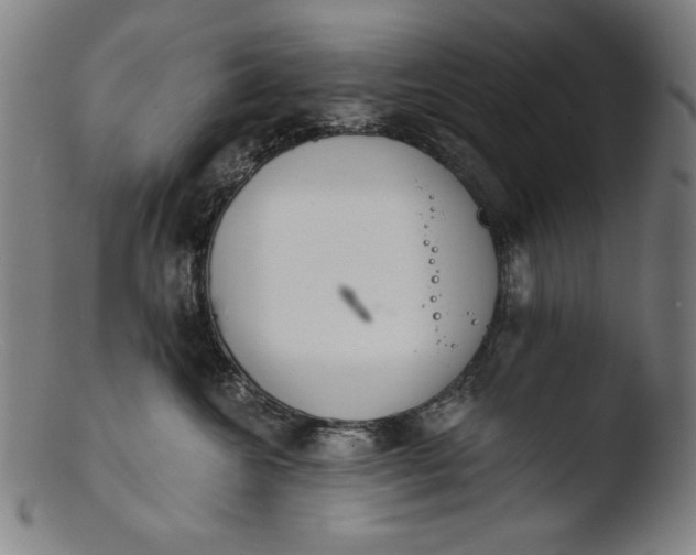 X0000103400572200809261622