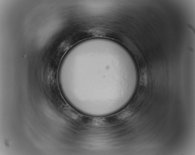 X0000103400573200809261622