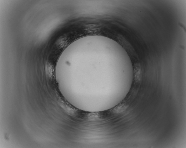 X0000103400574200809261622