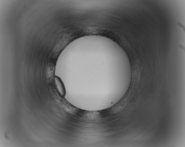 X0000103400576200809261622