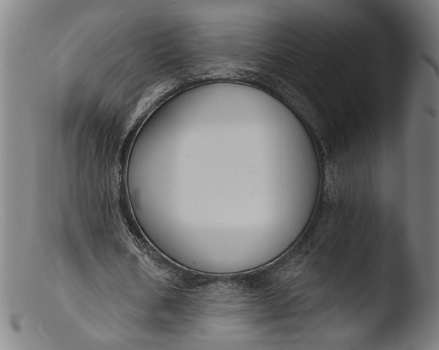 X0000103400578200809261622