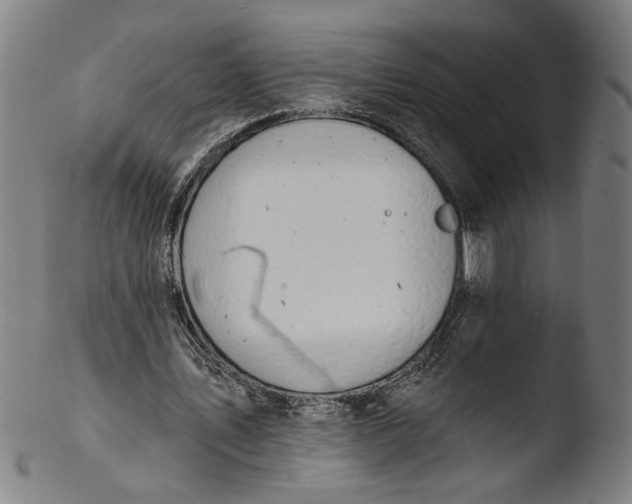 X0000103400579200809261622