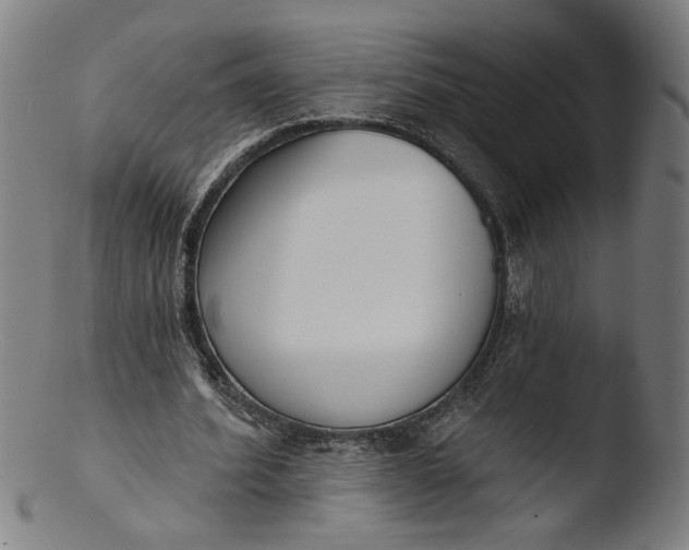 X0000103400580200809261622