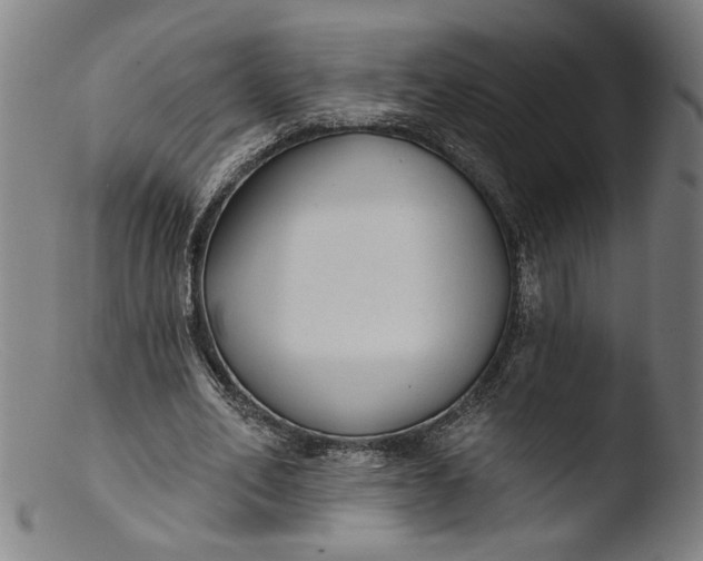 X0000103400582200809261621