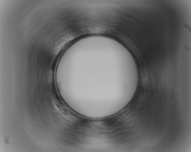 X0000103400583200809261621