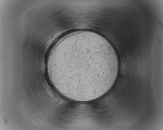 X0000103400584200809261621