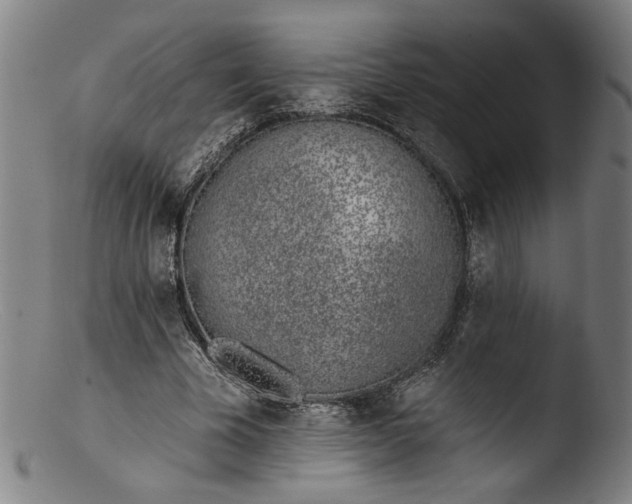 X0000103400585200809261621