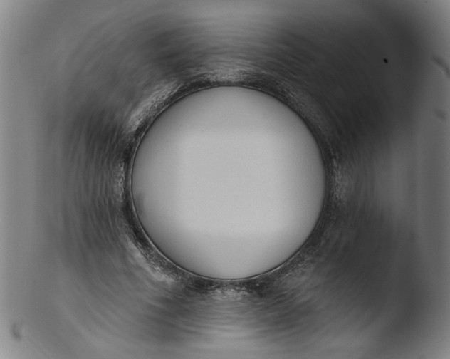 X0000103400586200809261621