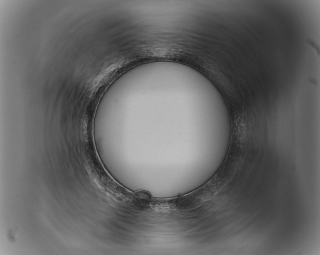 X0000103400587200809261621