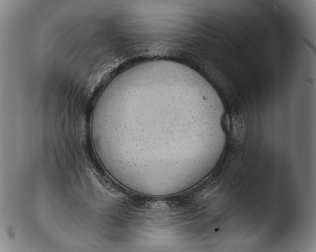 X0000103400588200809261621