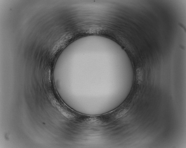 X0000103400589200809261621