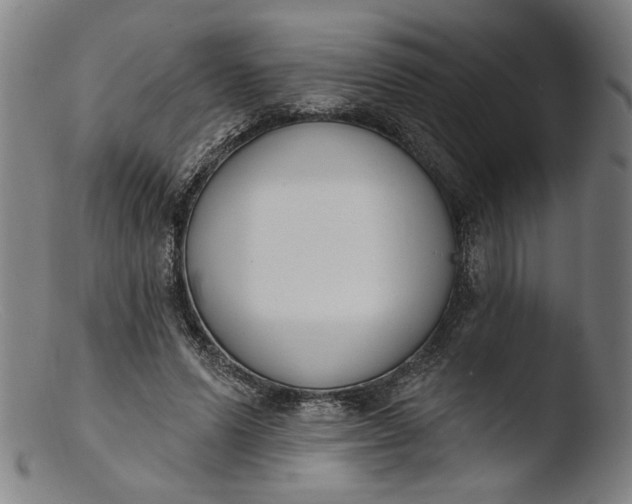 X0000103400591200809261621