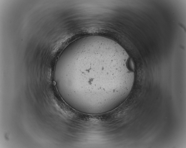 X0000103400592200809261621