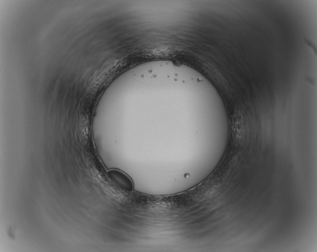 X0000103400593200809261621