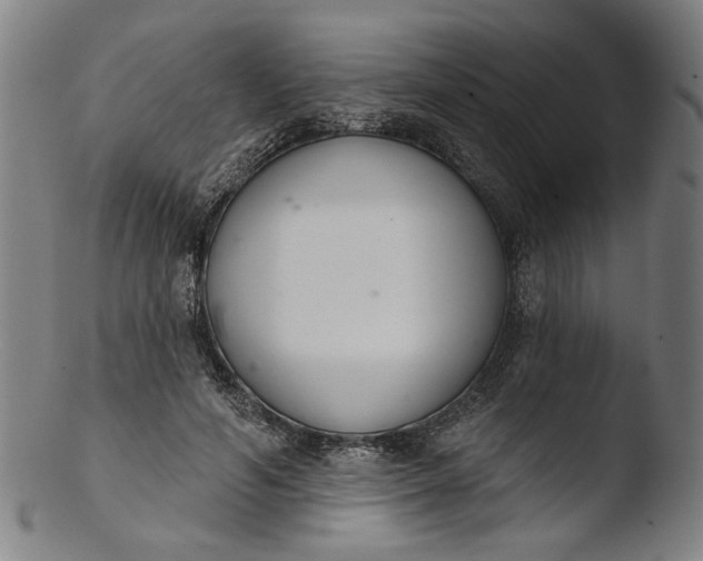 X0000103400594200809261621