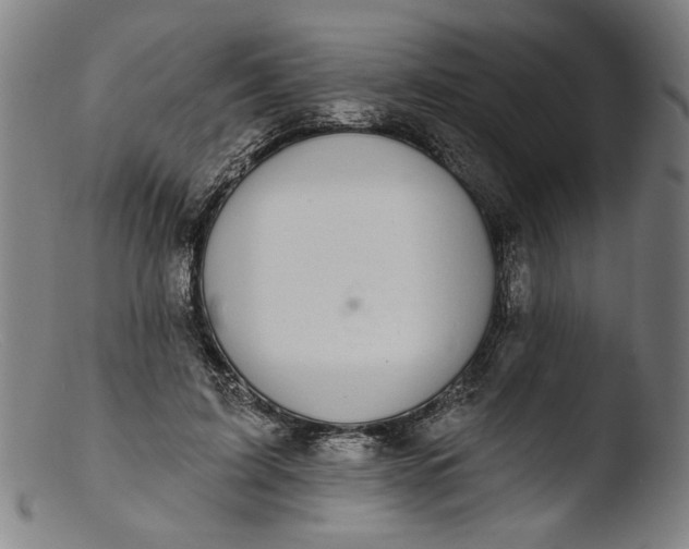 X0000103400595200809261621