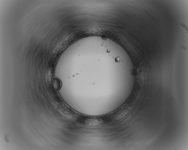 X0000103400597200809261621