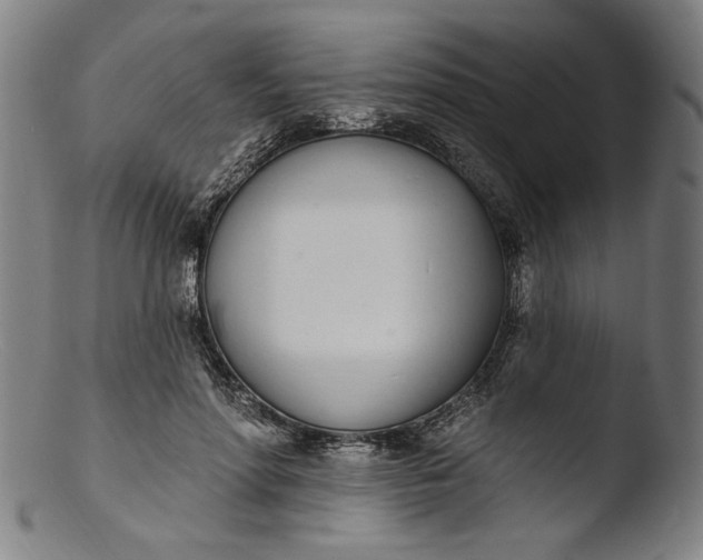 X0000103400598200809261621