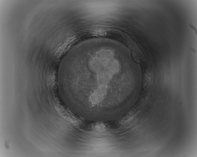 X0000103400600200809261621