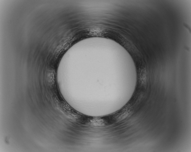 X0000103400603200809261621