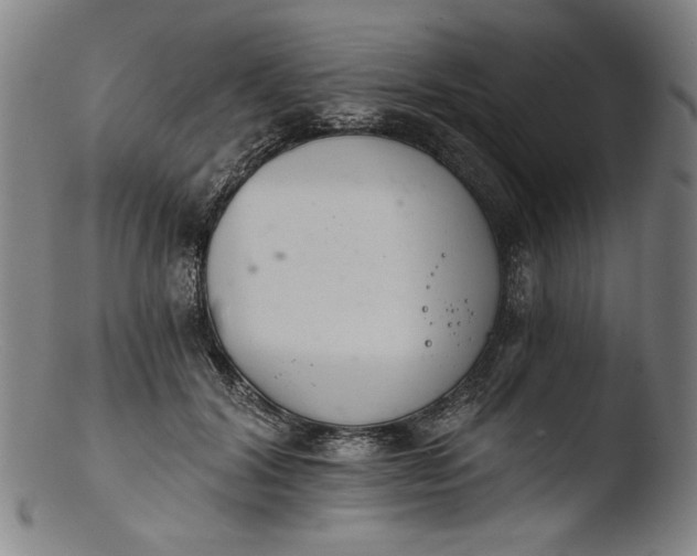 X0000103400604200809261621