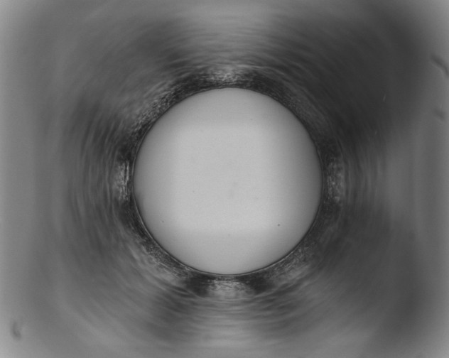 X0000103400605200809261621