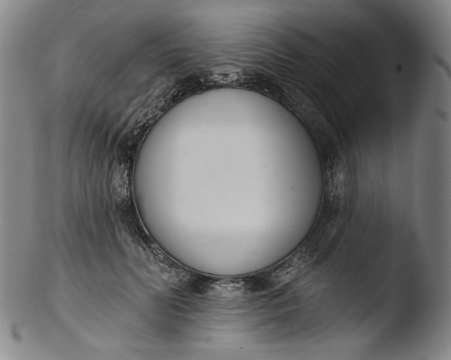 X0000103400606200809261621