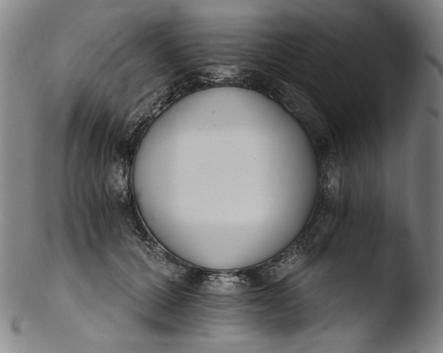 X0000103400607200809261621