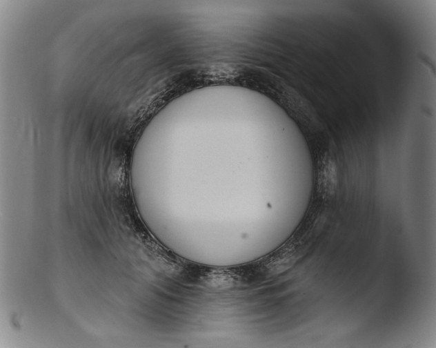 X0000103400608200809261621