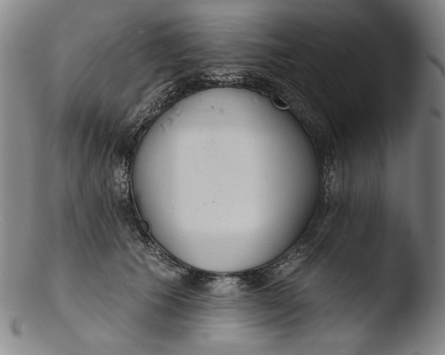 X0000103400609200809261621