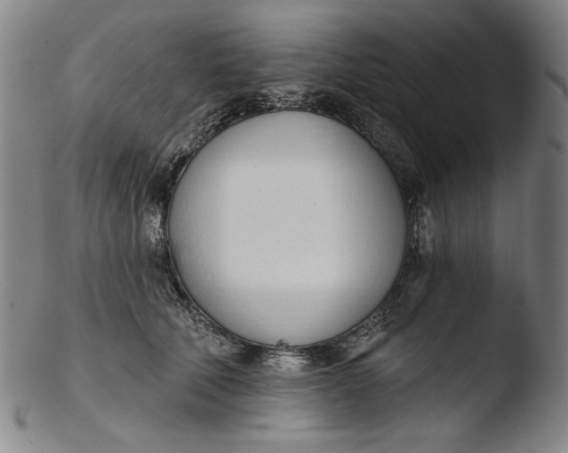 X0000103400610200809261621