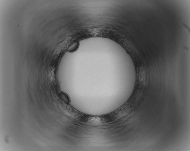 X0000103400611200809261621