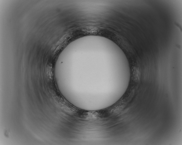 X0000103400612200809261621