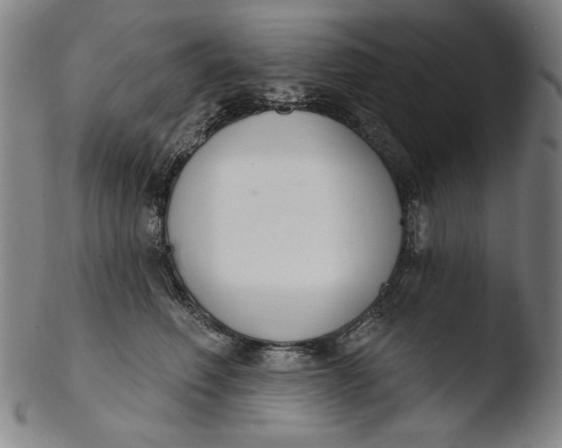 X0000103400614200809261621