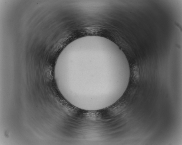 X0000103400615200809261621