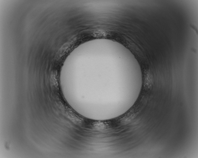 X0000103400616200809261621