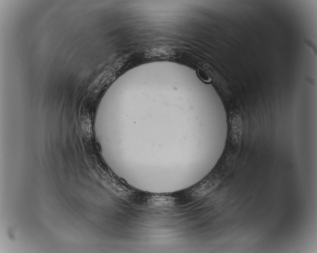 X0000103400617200809261621