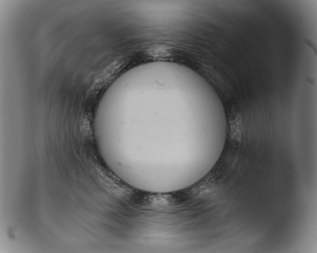 X0000103400618200809261621