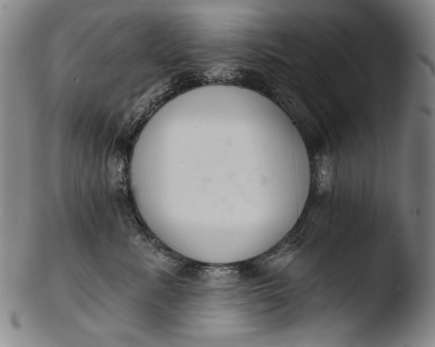 X0000103400619200809261621