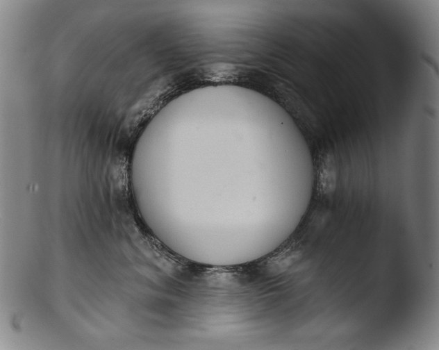 X0000103400620200809261621