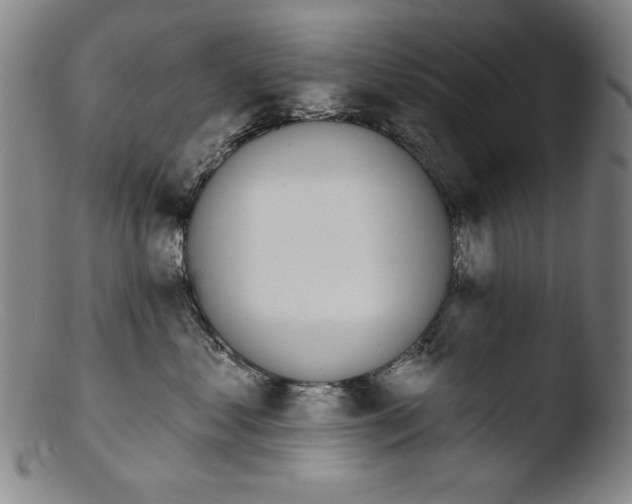 X0000103400621200809261621