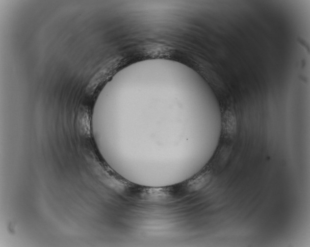 X0000103400622200809261621