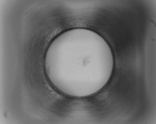 X0000103400625200809261620