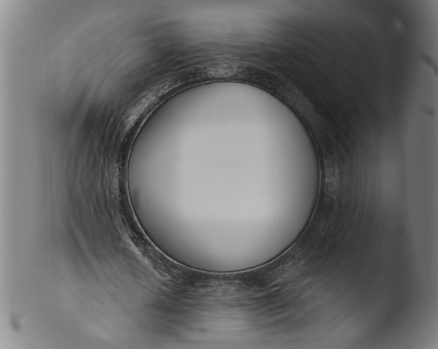 X0000103400626200809261620