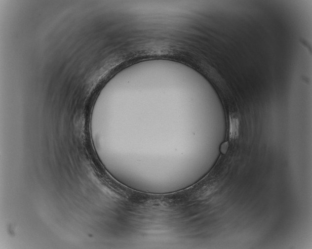 X0000103400627200809261620