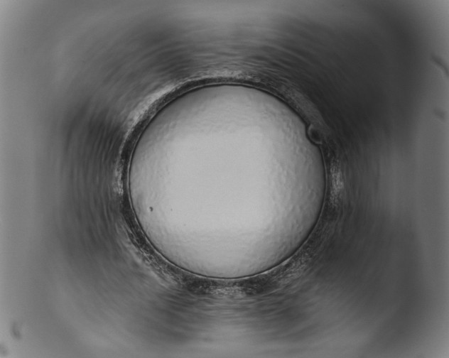 X0000103400628200809261620