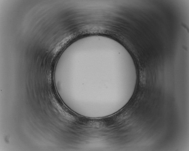 X0000103400629200809261620