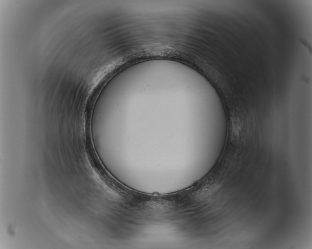 X0000103400630200809261620