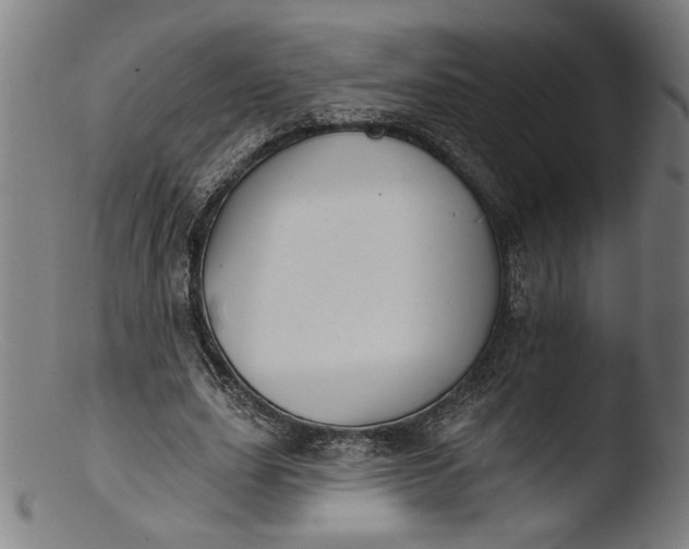 X0000103400631200809261620